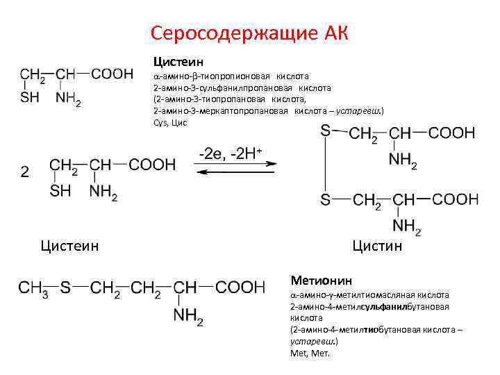 Серосодержащие АК Цистeин a-амино-b-тиопропионовая кислота 2 -амино-3 -сульфанилпропановая кислота (2 -амино-3 -тиопропановая кислота, 2