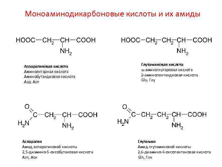 Полипептиды с азотной кислотой дают. Аспарагиновая к-та + 2-оксопентандиовая кислота. Оксобутановая кислота + nh2oh. Аспарагиновая кислота + pcl5. 2-Аминобутандиовая кислота формула.