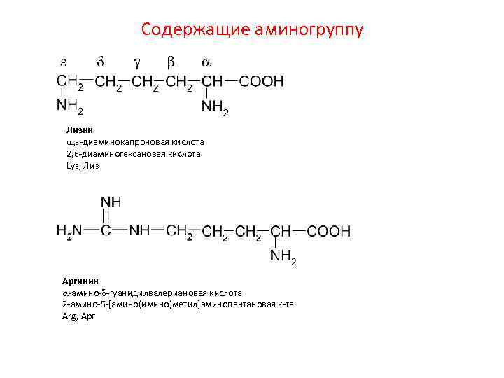 Содержащие аминогруппу Лизин a, e-диаминокапроновая кислота 2, 6 -диаминогексановая кислота Lys, Лиз Аргинин a-амино-d-гуанидилвалериановая