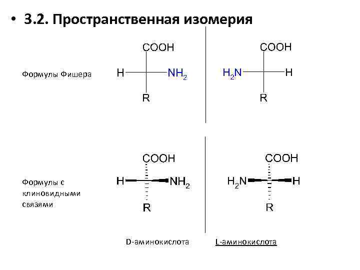  • 3. 2. Пространственная изомерия Формулы Фишера Формулы с клиновидными связями D-аминокислота L-аминокислота