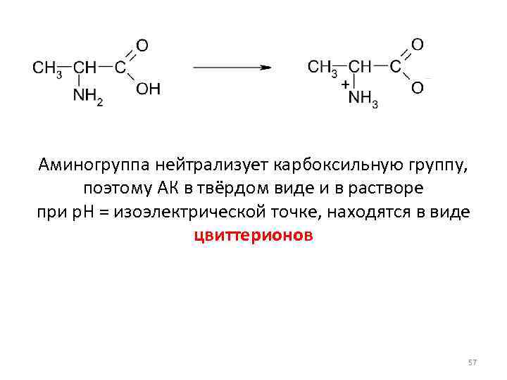 Аминогруппа нейтрализует карбоксильную группу, поэтому АК в твёрдом виде и в растворе при p.