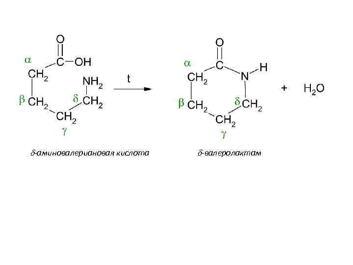 d-аминовалериановая кислота d-валеролактам 