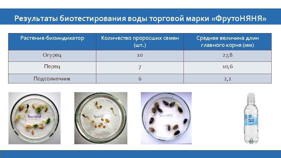 Результаты биотестирования воды торговой марки «Фруто. НЯНЯ» Растение-биоиндикатор Количество проросших семян (шт. ) Средняя