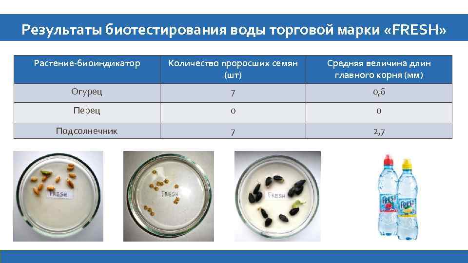 Результаты биотестирования воды торговой марки «FRESH» Растение-биоиндикатор Количество проросших семян (шт) Средняя величина длин