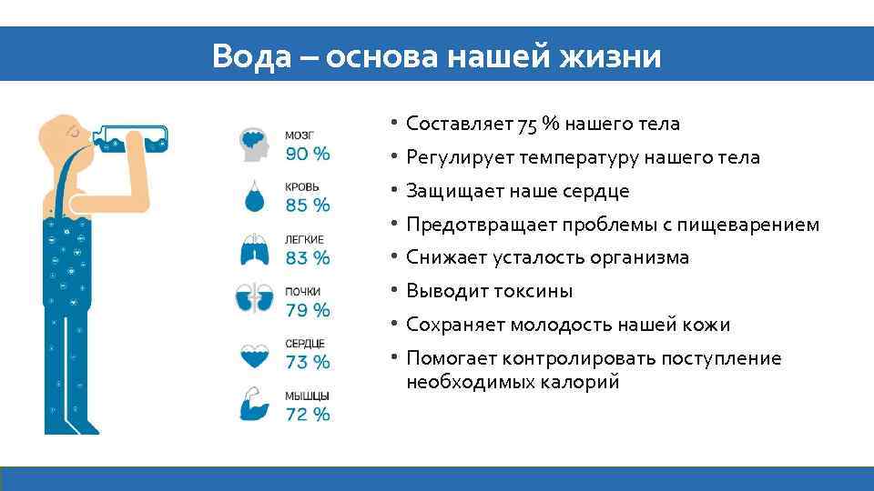 Вода – основа нашей жизни • Составляет 75 % нашего тела • Регулирует температуру
