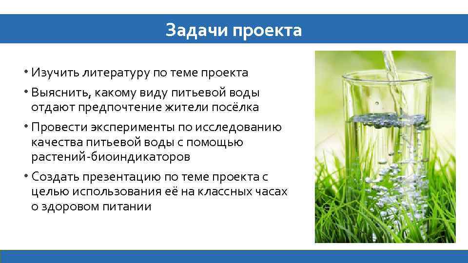 Исследование качества воды проект