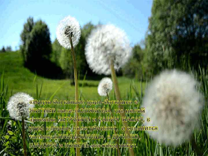  «Будто бы вышел царь-батюшка в ЖИТНЕВ поле-ПОЛЯКОВА, где целой артелью ПЕТРОВИЧ и САВИЧ