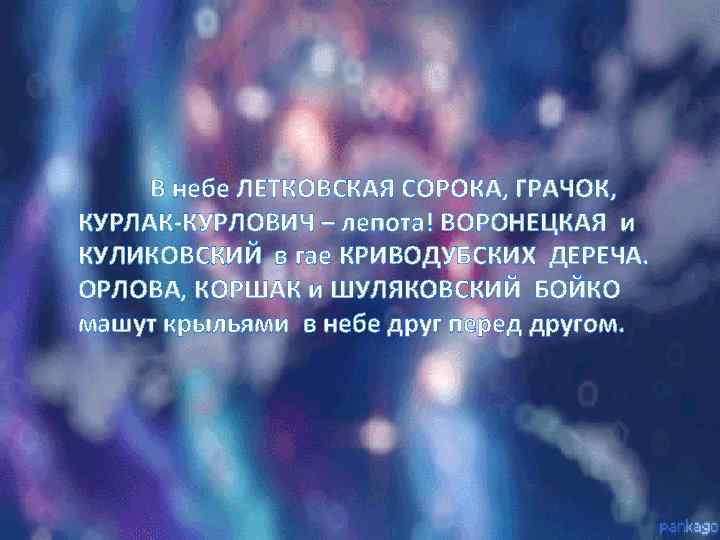 В небе ЛЕТКОВСКАЯ СОРОКА, ГРАЧОК, КУРЛАК-КУРЛОВИЧ – лепота! ВОРОНЕЦКАЯ и КУЛИКОВСКИЙ в гае КРИВОДУБСКИХ