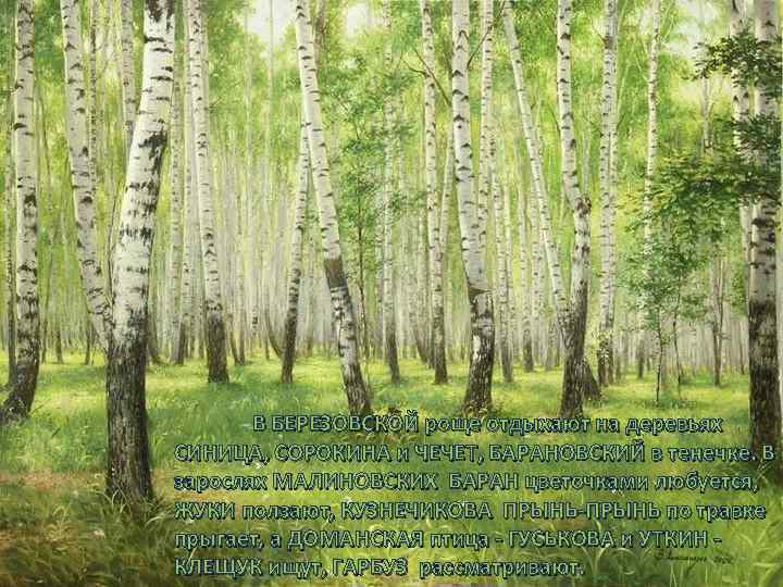 В БЕРЕЗОВСКОЙ роще отдыхают на деревьях СИНИЦА, СОРОКИНА и ЧЕЧЕТ, БАРАНОВСКИЙ в тенечке. В