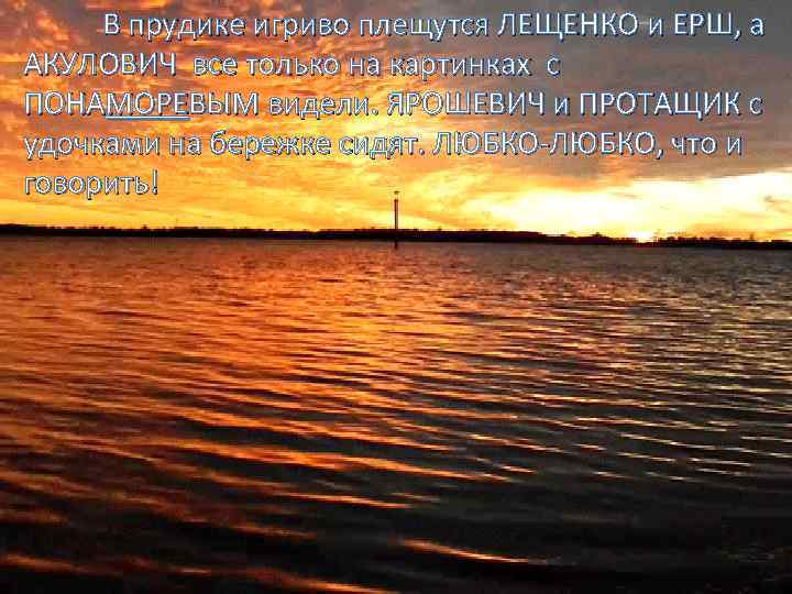 В прудике игриво плещутся ЛЕЩЕНКО и ЕРШ, а АКУЛОВИЧ все только на картинках с