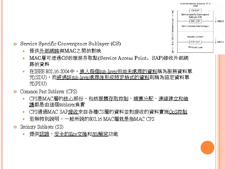  Service Specific Convergence Sublayer (CS) 提供外部網路與MAC之間的對映 MAC層可透過CS的服務存取點(Service Access Point，SAP)接收外部網 路的資料 在IEEE 802. 16