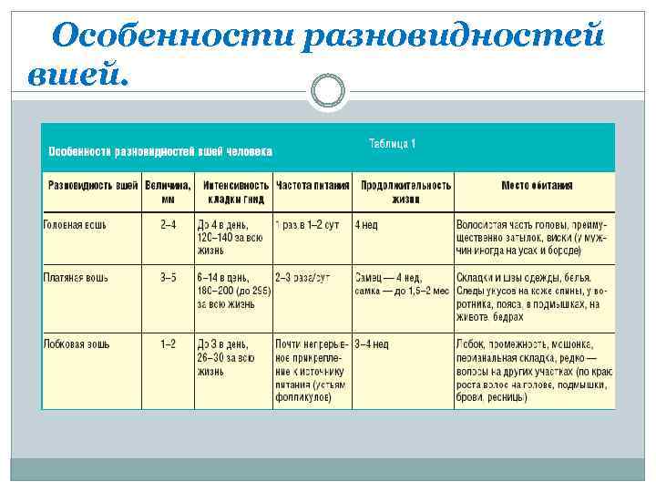 Особенности разновидностей вшей. 