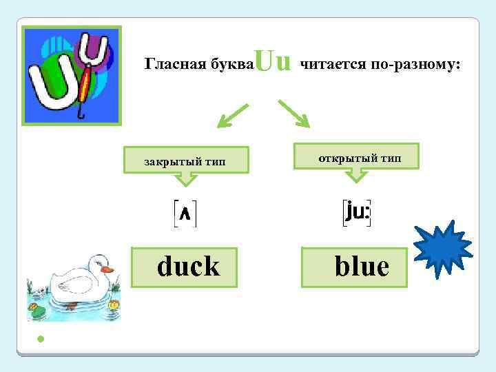 Uu читается по-разному: Гласная буква закрытый тип открытый тип duck blue 