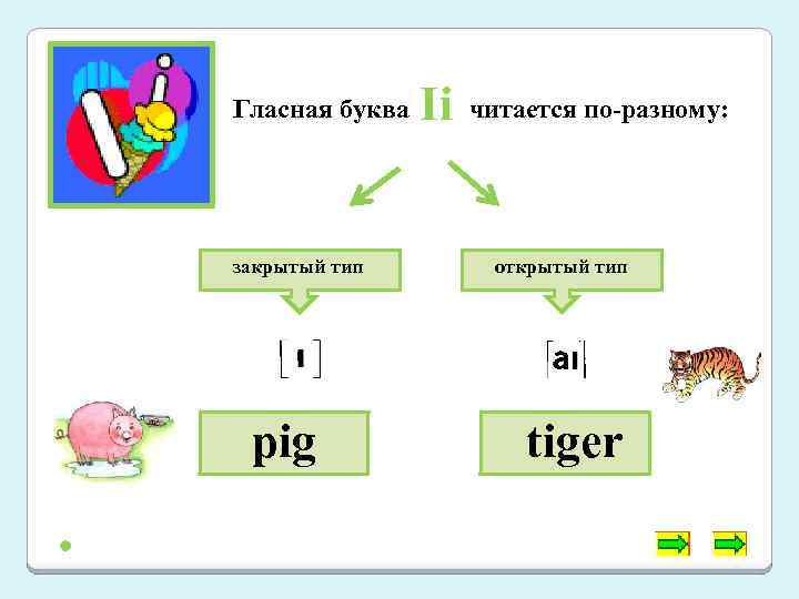 Гласная буква закрытый тип pig Ii читается по-разному: открытый тип tiger 
