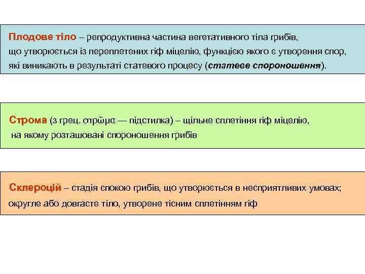 Плодове тіло – репродуктивна частина вегетативного тіла грибів, що утворюється із переплетених гіф міцелію,