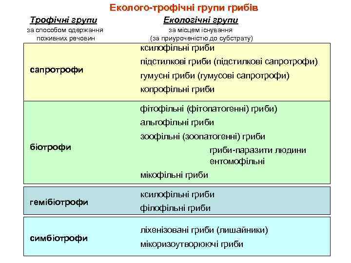Еколого-трофічні групи грибів Трофічні групи за способом одержання поживних речовин Екологічні групи за місцем
