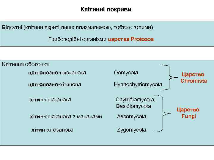 Клітинні покриви Відсутні (клітини вкриті лише плазмалемою, тобто є голими) Грибоподібні організми царства Protozoa