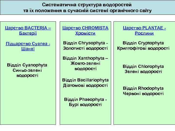 Систематична структура водоростей та їх положення в сучасній системі органічного світу Царство BACTERIA –