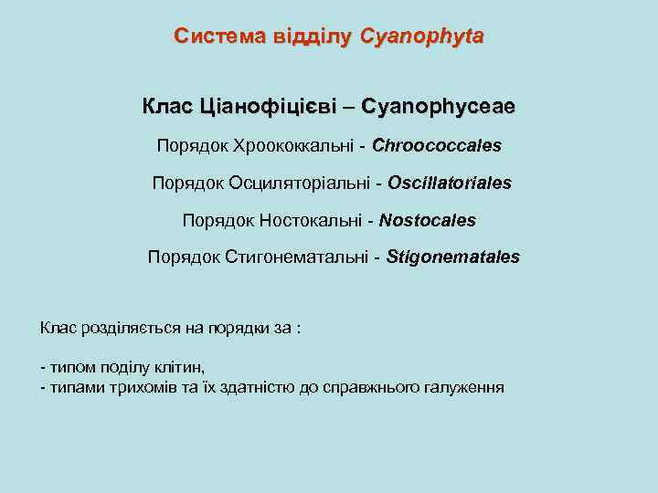 Система відділу Cyanophyta Клас Ціанофіцієві – Cyanophyceae Порядок Хроококкальні - Chroococcales Порядок Осциляторіальні -