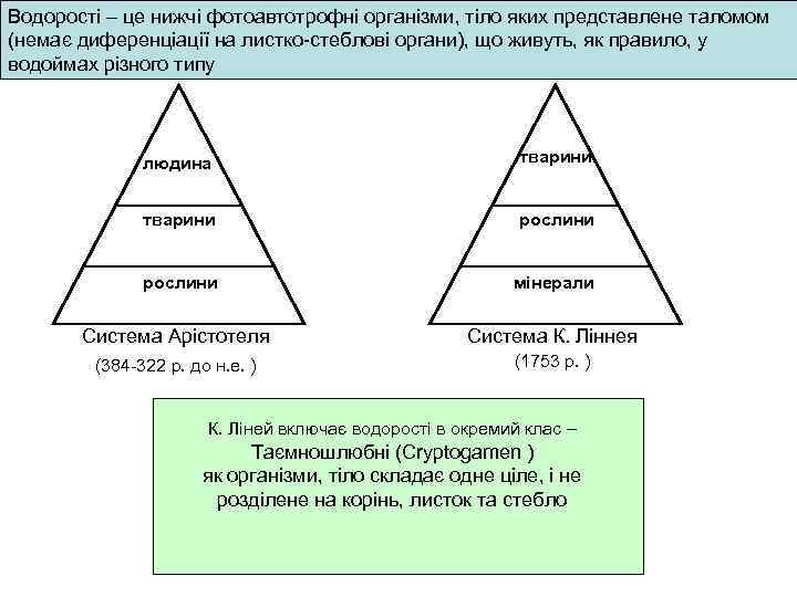 Водорості – це нижчі фотоавтотрофні організми, тіло яких представлене таломом (немає диференціації на листко-стеблові