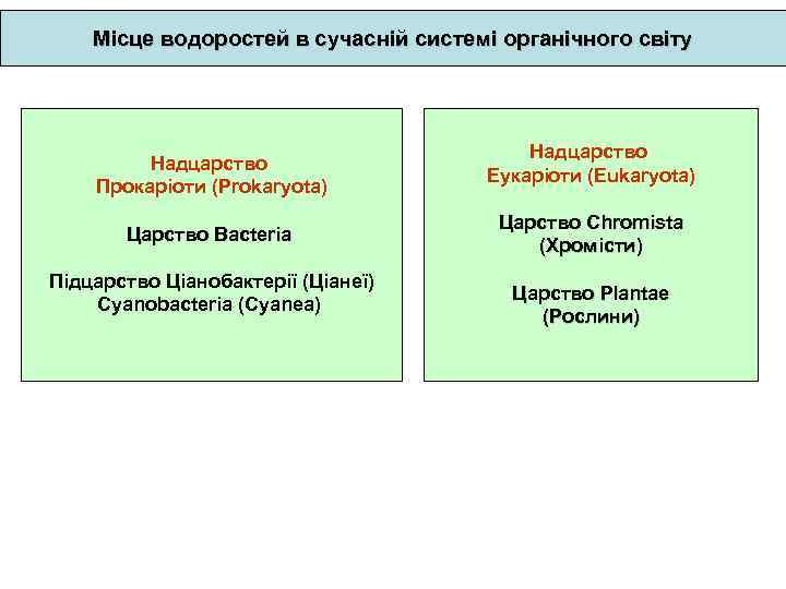 Місце водоростей в сучасній системі органічного світу Надцарство Прокаріоти (Prokaryota) Царство Bacteria Підцарство Ціанобактерії