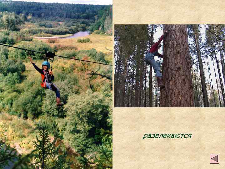 развлекаются 