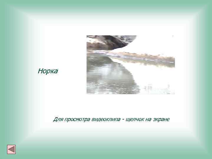 Норка Для просмотра видеоклипа - щелчок на экране 