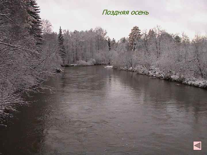 Поздняя осень 