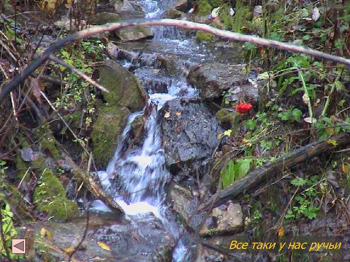 Все таки у нас ручьи 
