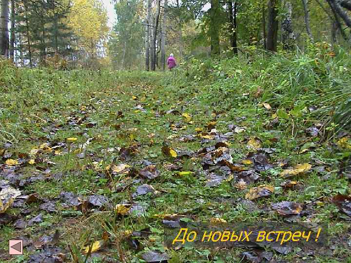 До новых встреч ! 