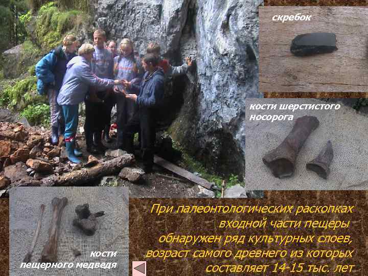скребок кости шерстистого носорога кости пещерного медведя При палеонтологических раскопках входной части пещеры обнаружен
