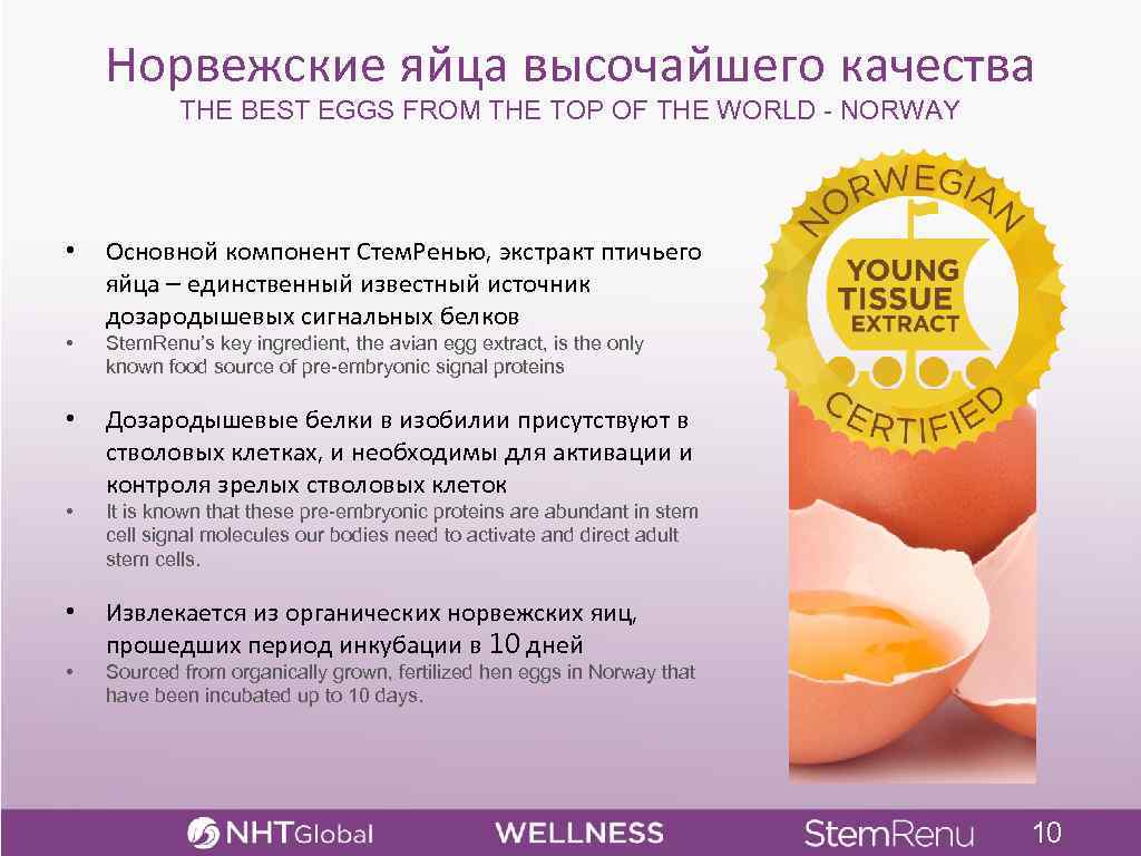 Норвежские яйца высочайшего качества THE BEST EGGS FROM THE TOP OF THE WORLD -