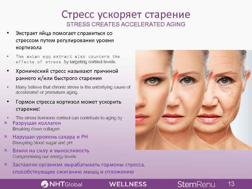 Стресс ускоряет старение • STRESS CREATES ACCELERATED AGING Экстракт яйца помогает справиться со стрессом