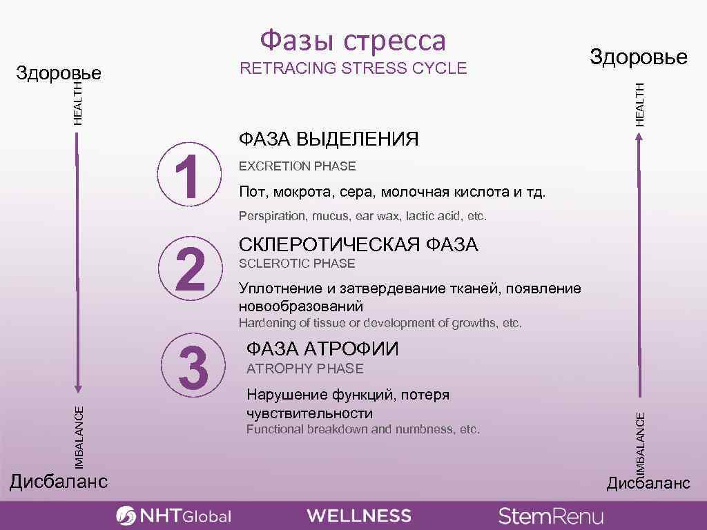 Фазы стресса RETRACING STRESS CYCLE HEALTH Здоровье 1 2 ФАЗА ВЫДЕЛЕНИЯ EXCRETION PHASE Пот,