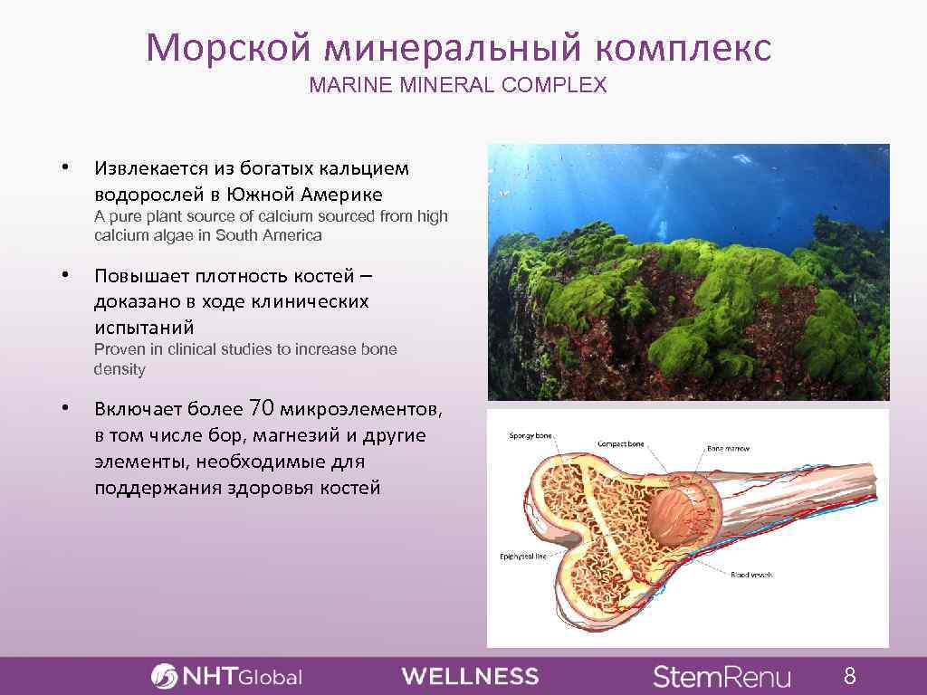 Морской минеральный комплекс MARINE MINERAL COMPLEX • Извлекается из богатых кальцием водорослей в Южной