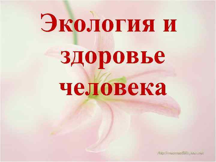 Экология и здоровье человека 