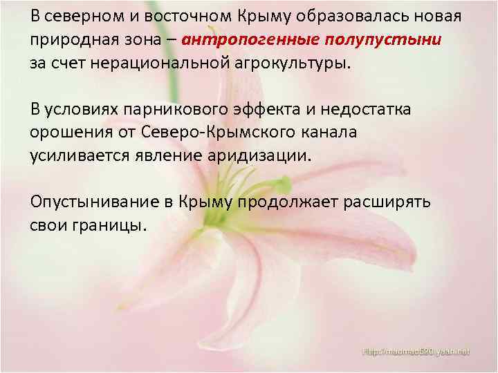 В северном и восточном Крыму образовалась новая природная зона – антропогенные полупустыни за счет