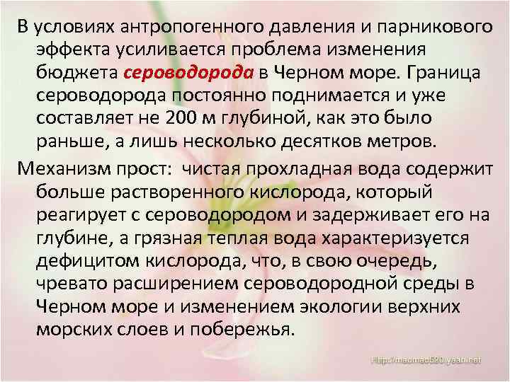 В условиях антропогенного давления и парникового эффекта усиливается проблема изменения бюджета сероводорода в Черном