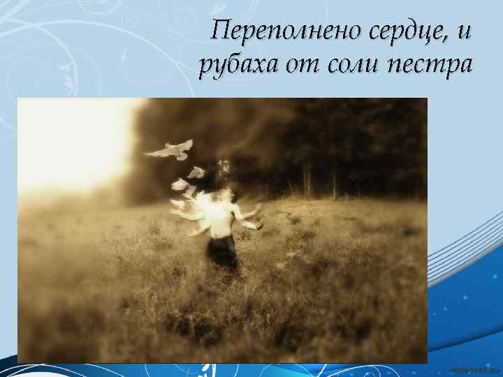 Переполнено сердце, и рубаха от соли пестра 