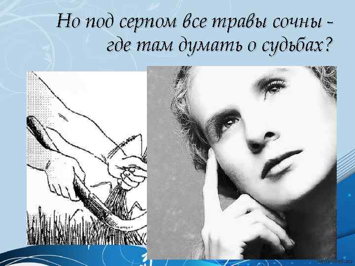 Но под серпом все травы сочны где там думать о судьбах? 