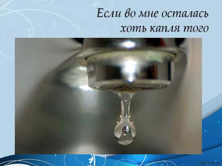 Если во мне осталась хоть капля того 