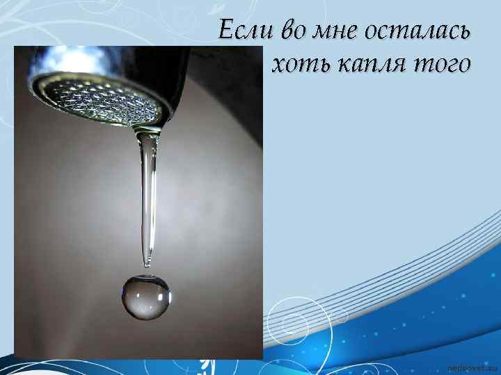 Если во мне осталась хоть капля того 