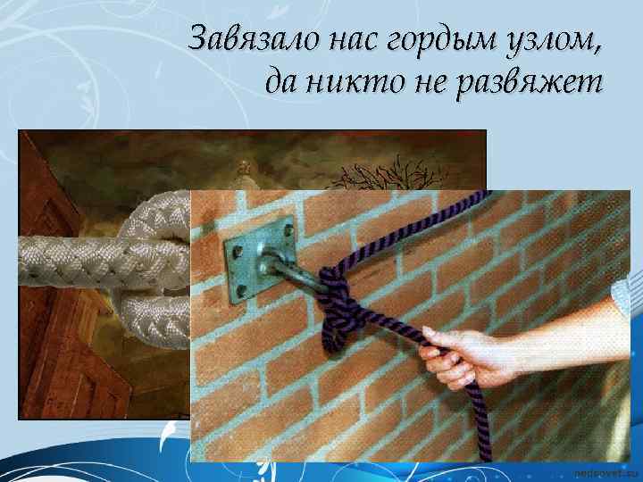 Завязало нас гордым узлом, да никто не развяжет 