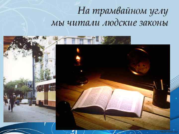 На трамвайном углу мы читали людские законы 