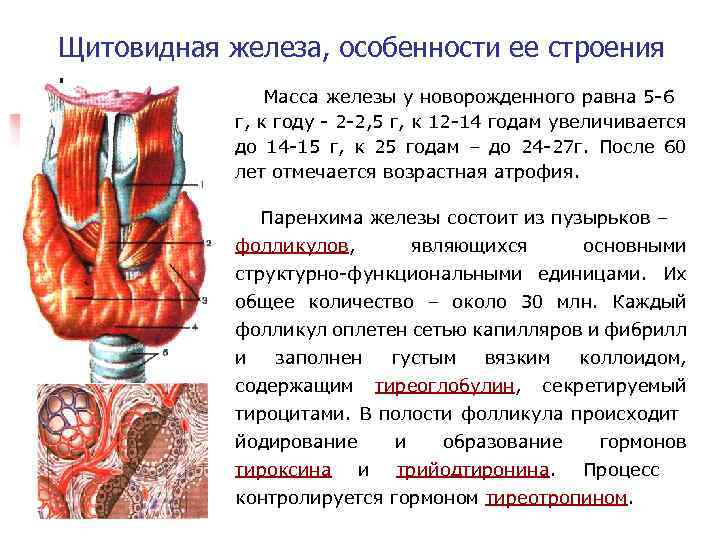 Схема строения частицы железа полученной при действии железа и концентрированной азотной кислоты