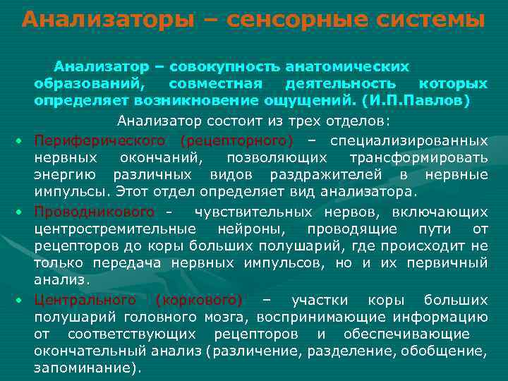 Анализаторы – сенсорные системы Анализатор – совокупность анатомических образований, совместная деятельность которых определяет возникновение