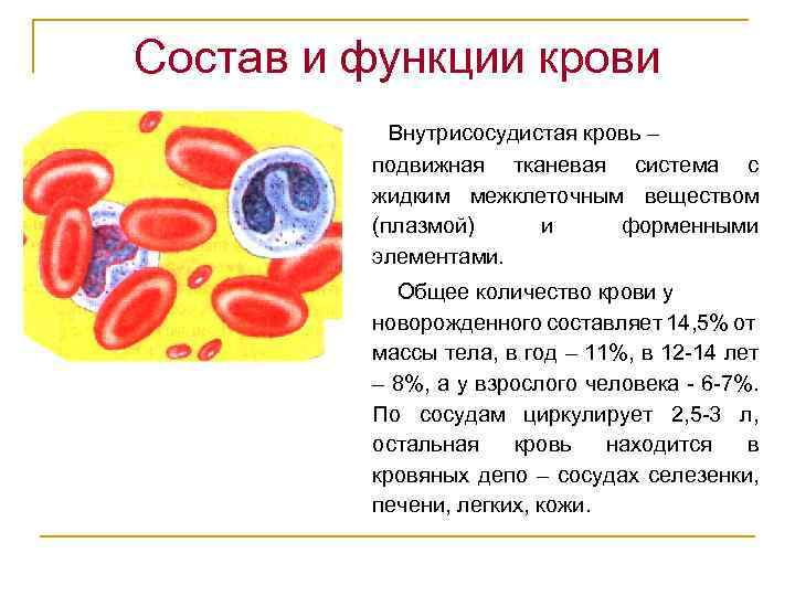 Функции крови презентация