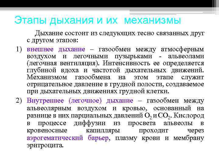 Этапы дыхания и их механизмы Дыхание состоит из следующих тесно связанных друг с другом