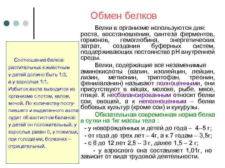 Обмен белков Соотношение белков растительных к животным у детей должно быть 1: 3, а