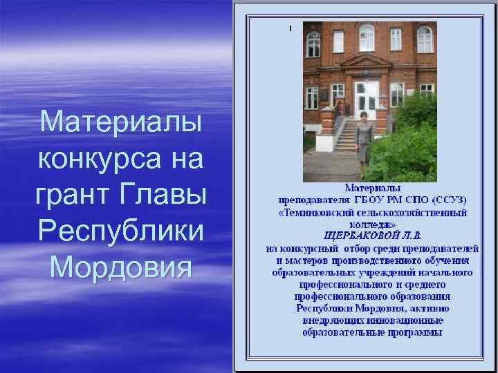 Материалы конкурса на грант Главы Республики Мордовия 